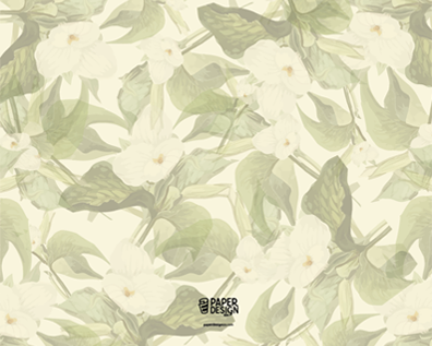 Floral Creeper - New Test