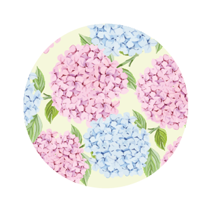 Hydrangea