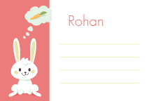 Fluffy Bunny