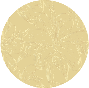 Gilded Lily Gold Foiled Round Gift Tags