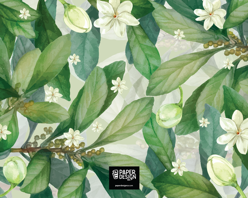 Mogra Test- Folded Notecards