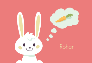 Fluffy Bunny