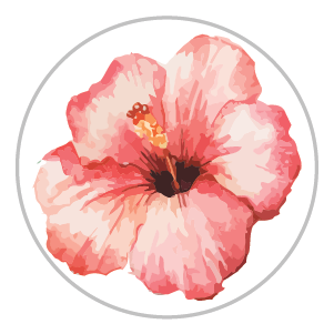 Hibiscus Bloom