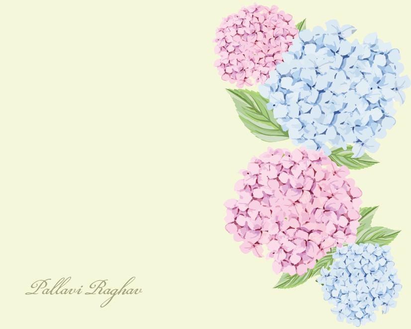 Hydrangea
