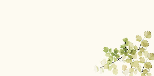 Letter Sheet Envelopes (8.7" x 4.3") - Leaves