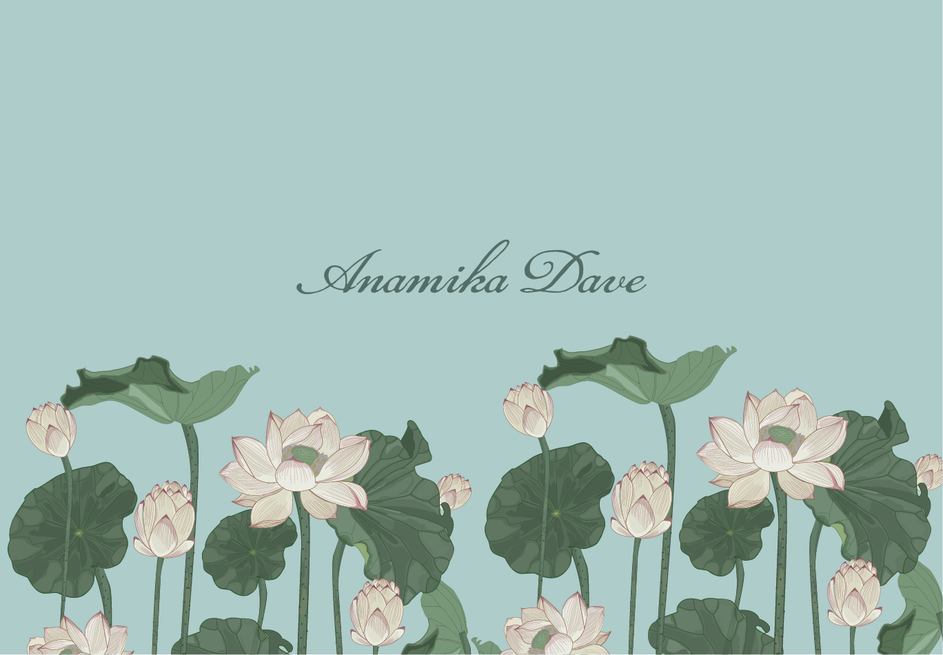 Lotus Blooms