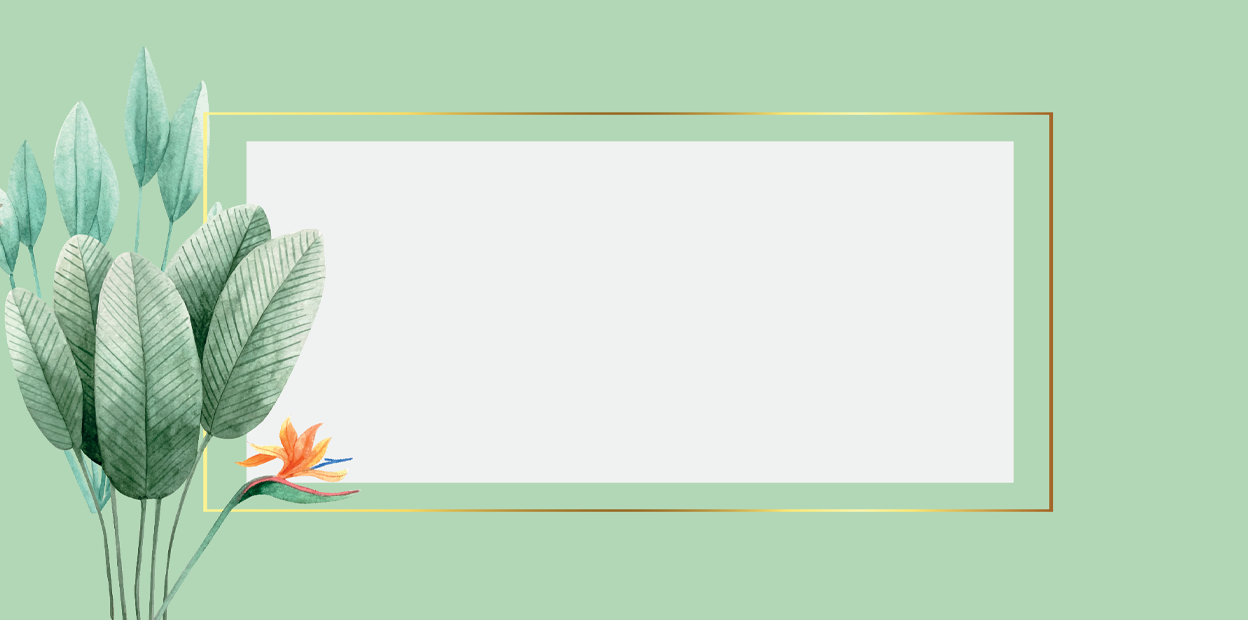 Letter Sheet Envelopes (8.7" x 4.3") - Tropical Day-3