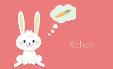Fluffy Bunny