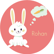 Fluffy Bunny