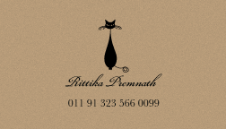 The Cat's Whiskers Bold