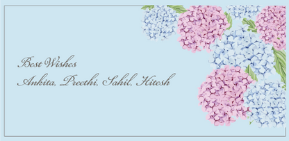 Hydrangea