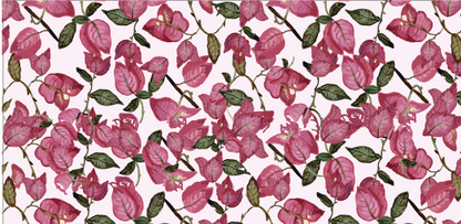 Bougainvillea