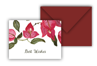 Bouganvillae - Best Wishes (Set of 10 Mini Cards with Envelopes)