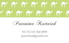 Camel Parade