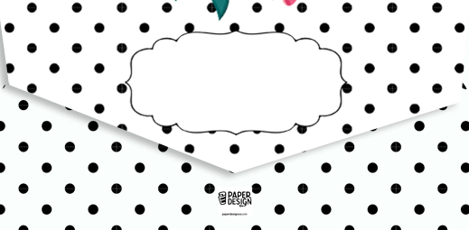 Assorted Envelopes Box Set