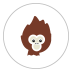 Funky Monkey