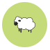 Baa Baa Sheep