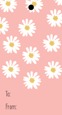 Daisies