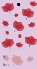 Bougainvillea