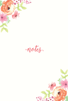 Notebook 