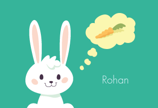 Fluffy Bunny