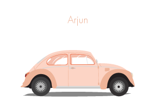 Beetle Car