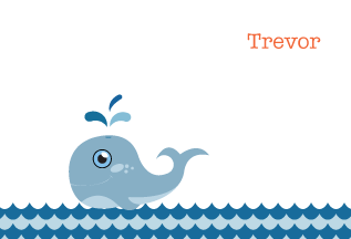 Splashy Whale