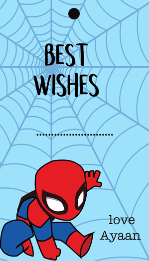 Web Boy