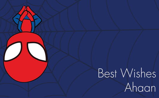 Web Boy
