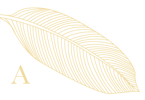 Tropical Leaf