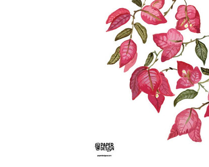 Bougainvillea