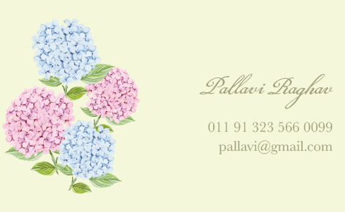 Hydrangea