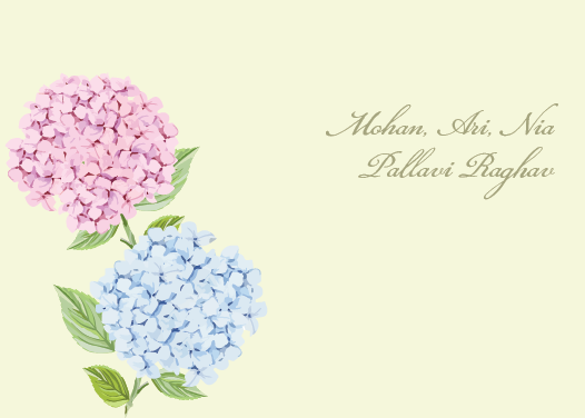Hydrangea