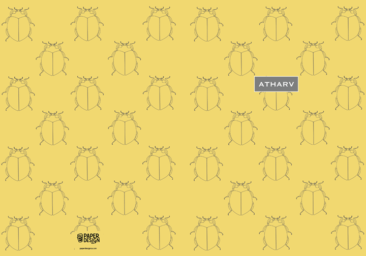 Front and Back Cover