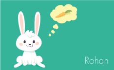 Fluffy Bunny