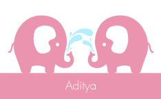 Baby Elephant