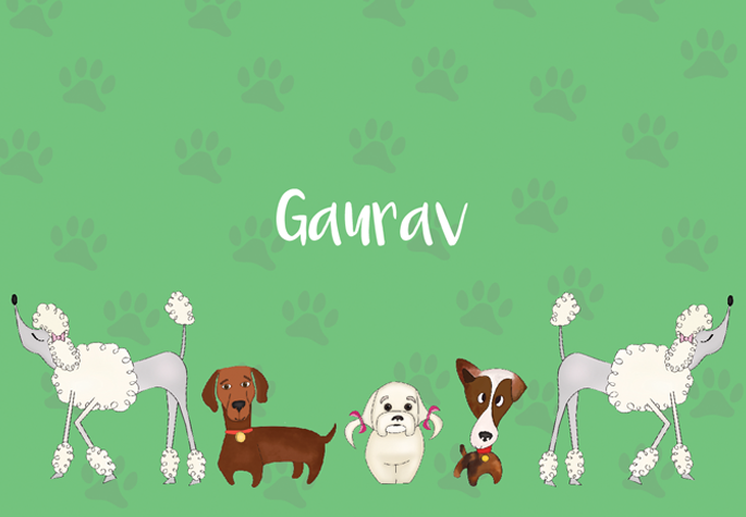Cute Dogs