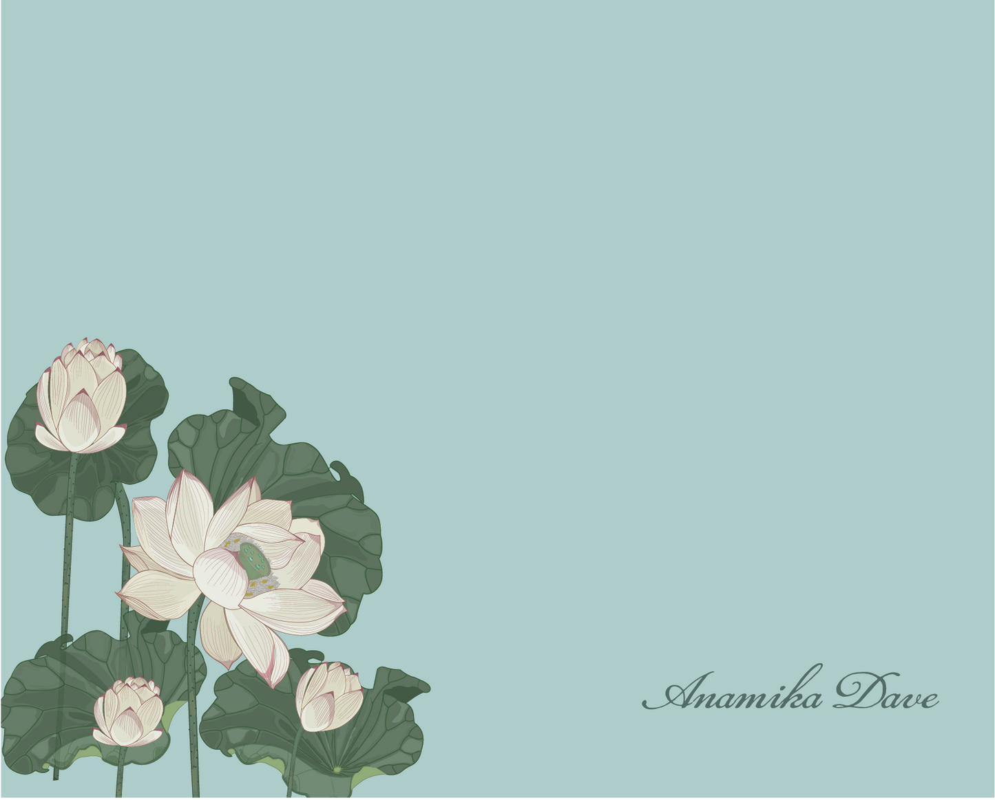 Lotus Blooms