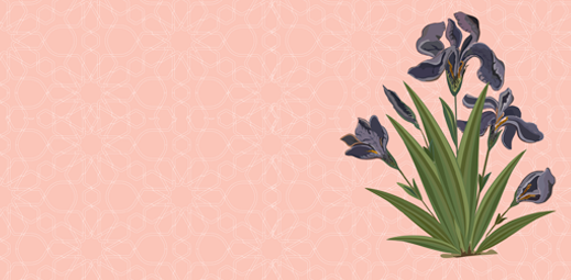 Vintage Florals Set