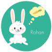 Fluffy Bunny
