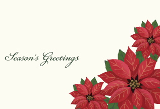 Poinsettia Joy