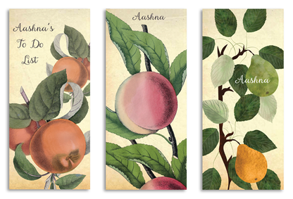 Pack of 3