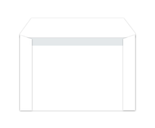 Watercolor Blue Flower (Set of 10 with Envelopes)