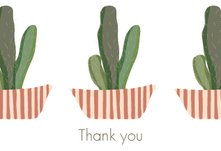 Succulents
