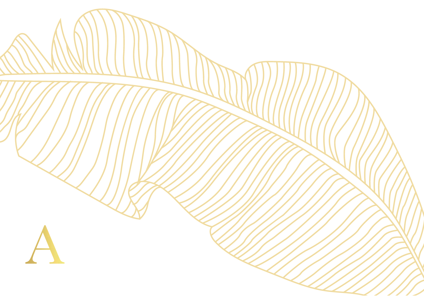 Folded Note Card Front