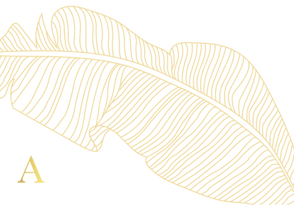 Folded Note Card Front