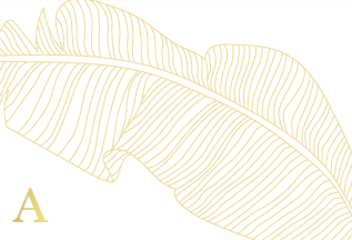 Folded Note Card