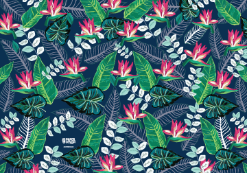 Front and Back Cover